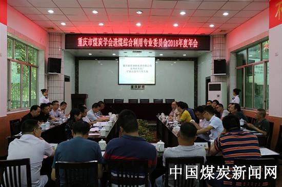 重庆市煤炭学会选煤综合利用专委会2018年年